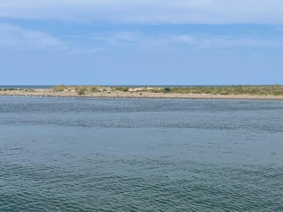 Un bonito crucero por el Delta de l’Ebre